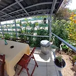Casa Inna 3*