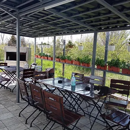 Casa Inna Pensiune *